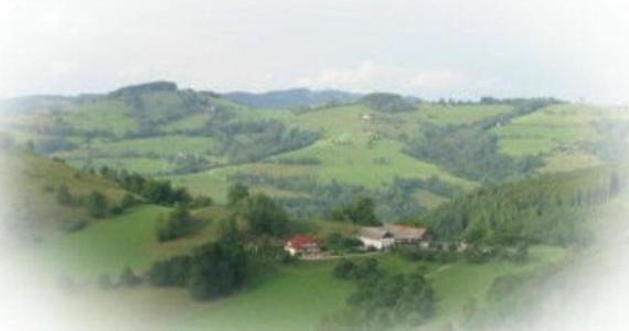 Koglerhof 3*
